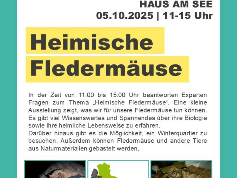 Plakat HS Fledermaus_KK_JV.jpg